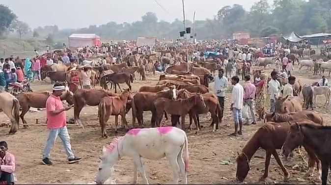 प्रदेश में गैंगस्टर ‘लॉरेंस बिश्नोई’ कि बड़ी डिमांड, लोगों ने ‘सलमान-शाहरुख’ को लिया हल्के में, समझें पूरा माजरा