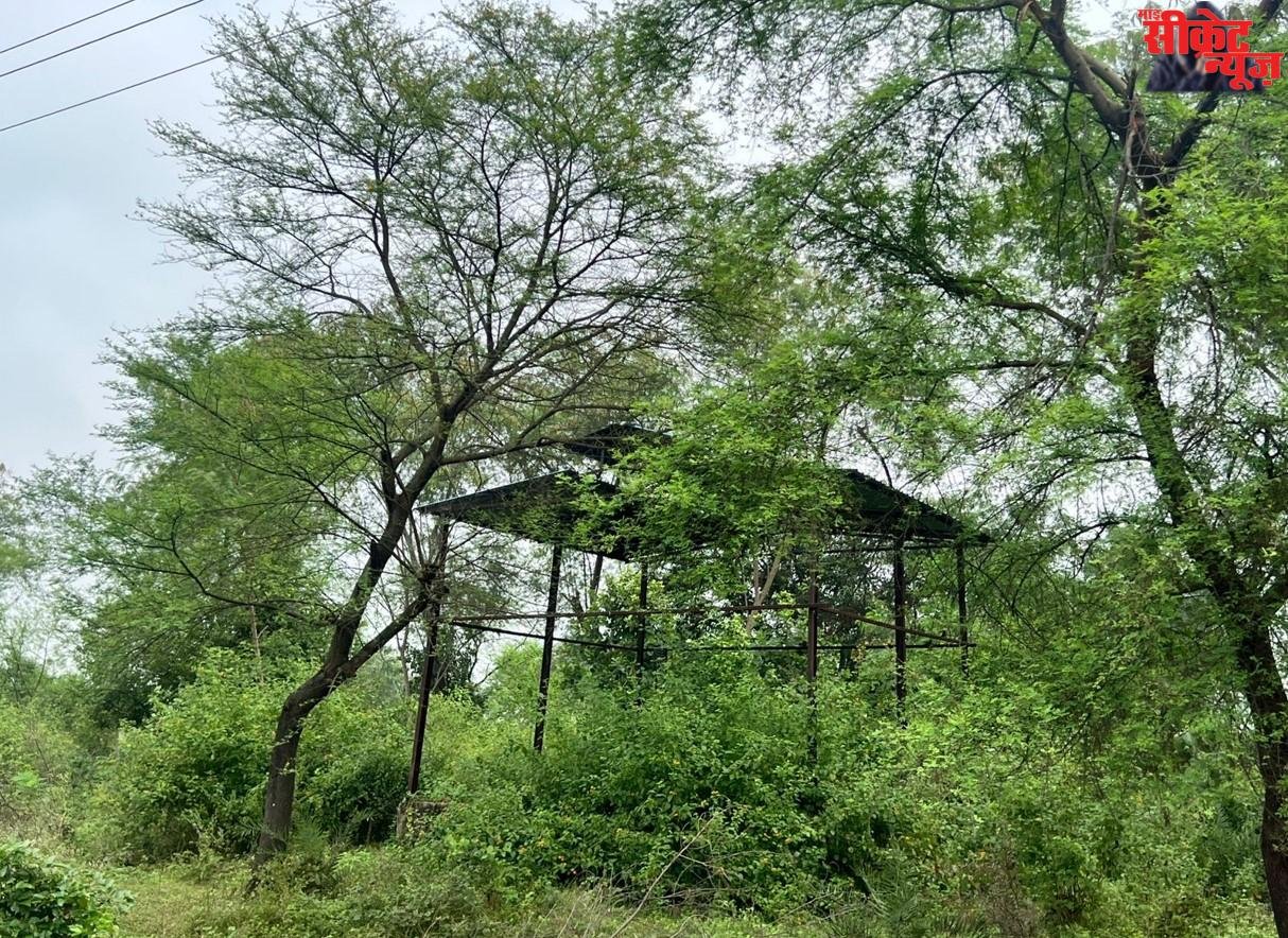 ग्राम पंचायत में सफाई घोटाला , सरकारी धन का दुरुपयोग, पंचायत दर्पण पर लाखो के फर्जी बिल