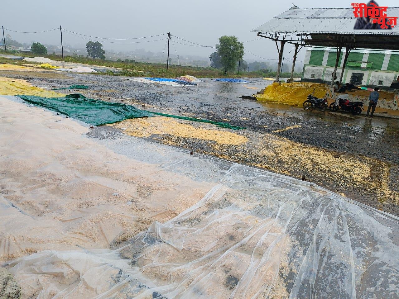 नगर में झमाझम बारिश से फसलें फिर भीगीं, किसानों की बढ़ी चिंता