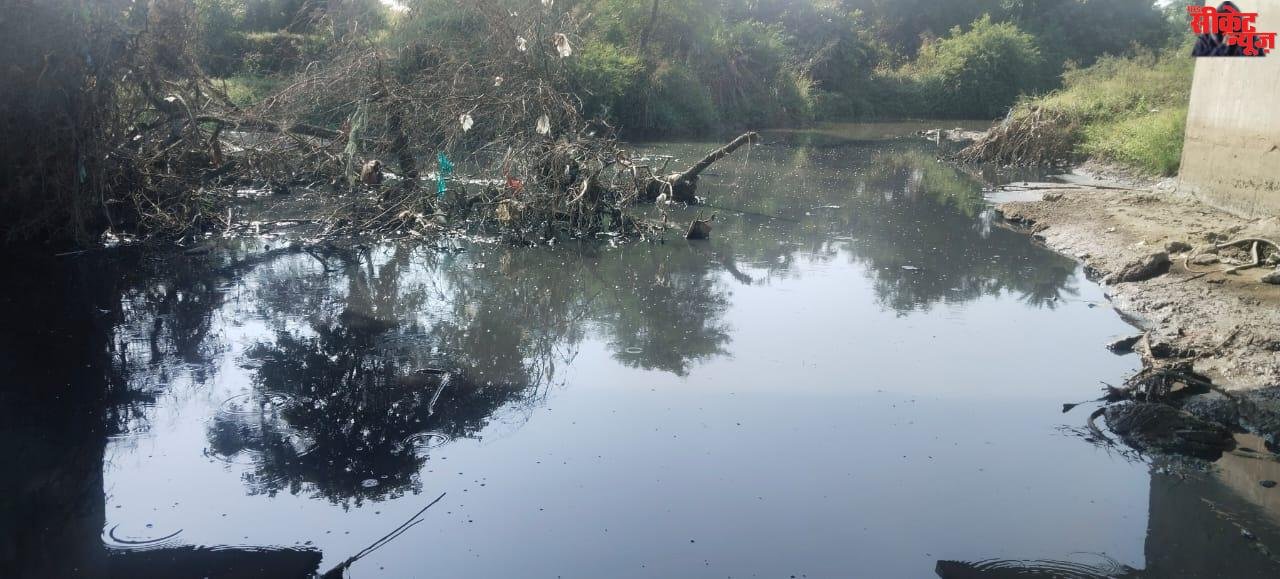 कंपनियों से निकलने वाला रासायनिक सीवेज का पानी बेतवा नदी को कर रहा है प्रदूषित