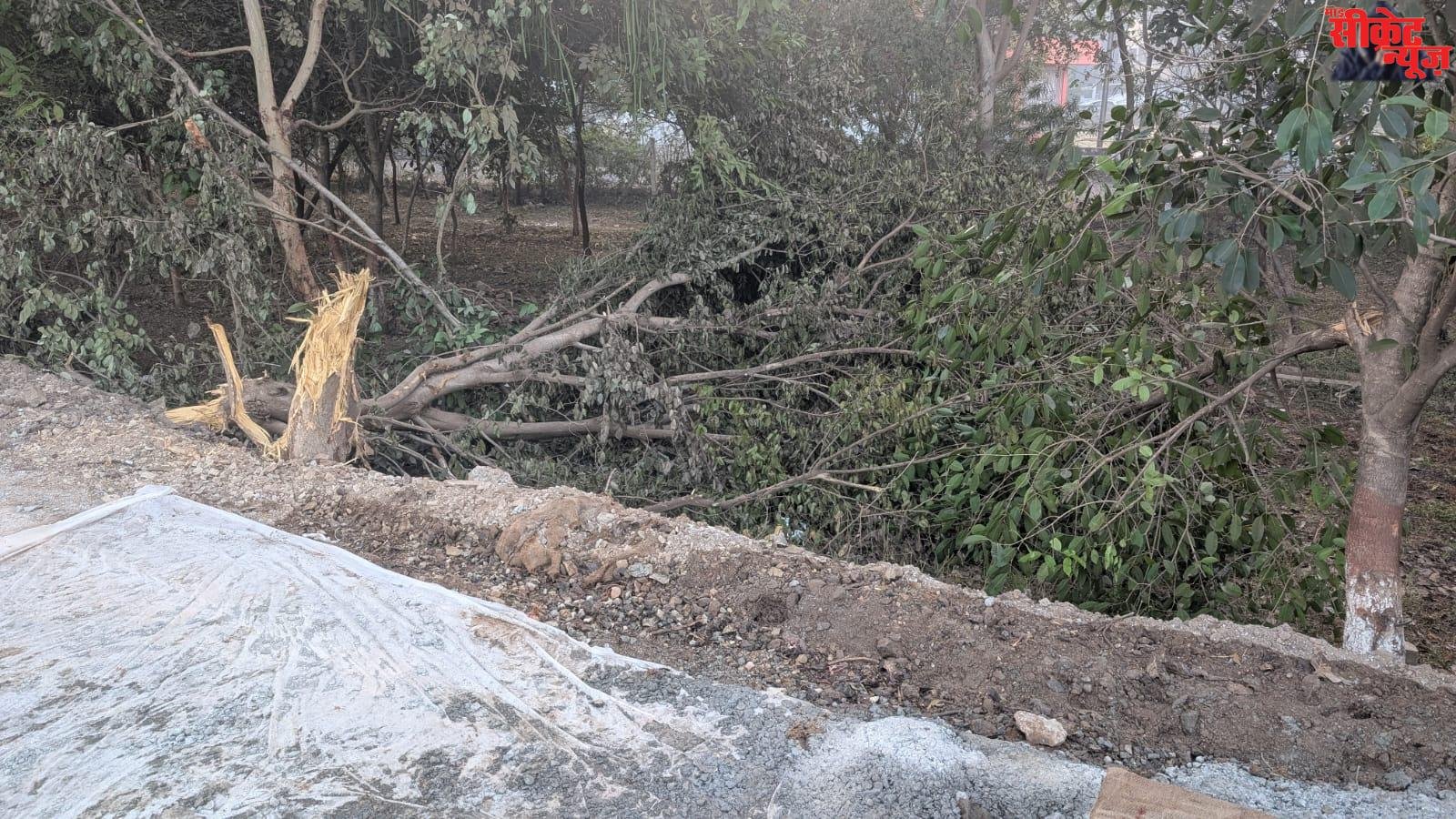 आम आदमी पार्टी के पदाधिकारी इंजी नवीन कुमार अग्रवाल ने लगाया आरोप