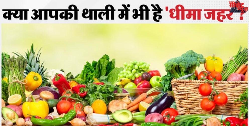 पानी के बाद अब सब्जियों में भी जहर! नालों के दूषित पानी से उगाई जा रही सब्जियां खतरनाक, हाईकोर्ट सख्त