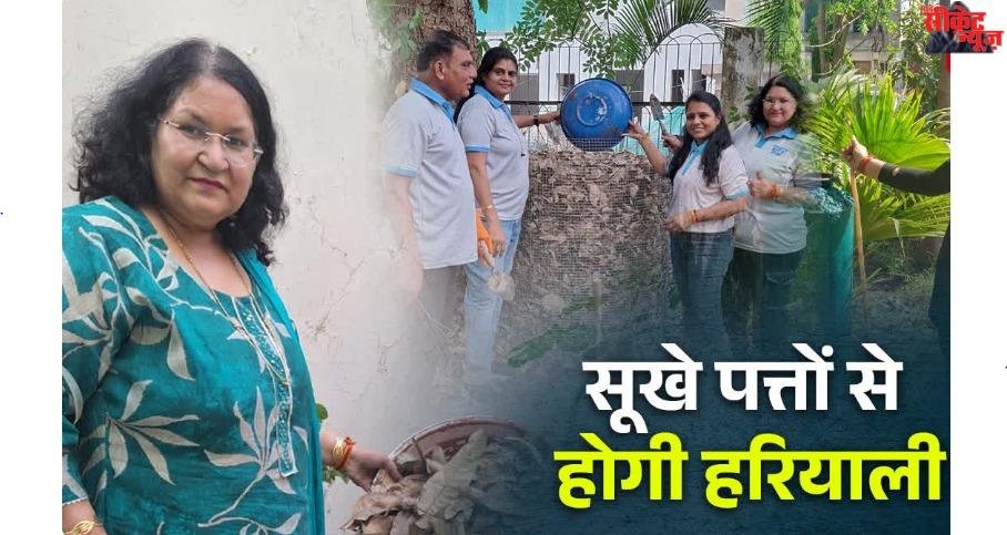 हरियाली की ताकत बनेंगे पतझड़ के सूखे पत्ते, गोल्डन कम्पोस्ट से फिर से हरी-भरी होगी धरती