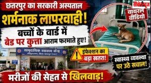 बच्चों के वार्ड के बेड पर कुत्ता! MP के सरकारी अस्पताल का VIDEO वायरल, स्वास्थ्य व्यवस्था पर बड़े सवाल