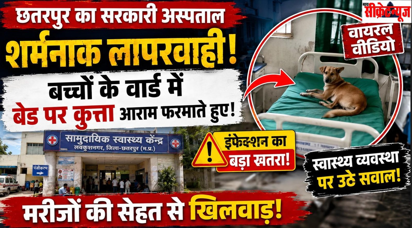 बच्चों के वार्ड के बेड पर कुत्ता! MP के सरकारी अस्पताल का VIDEO वायरल, स्वास्थ्य व्यवस्था पर बड़े सवाल