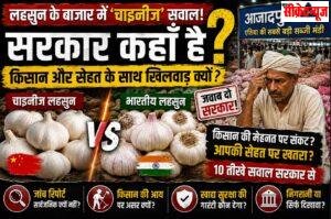 चाइनीज लहसुन पर सवाल बड़े, सरकार की निगरानी छोटी क्यों? आजादपुर मंडी से उठी कई गंभीर चिंताएं