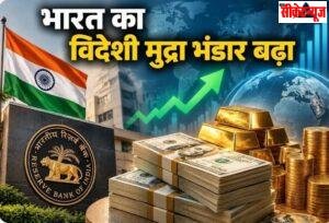 भारत के विदेशी मुद्रा भंडार में ऐतिहासिक वृद्धि: फॉरेक्स रिजर्व 785.71 अरब डॉलर पहुंचा, क्या होगा फायदा?