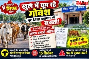 एमपी: गोवंश खुले में घूमे तो सरपंचों की कुर्सी जाएगी! 8 सरपंचों को नोटिस, जानें क्या है पूरा मामला
