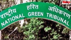 NGT की स्टोन क्रशर इकाइयों पर सख्ती, आबादी; मंदिर और सरकारी निर्माण से 500 मीटर में संचालन पर रोक
